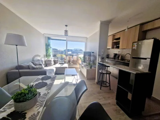 Arriendo Depto. Amoblado 2d,1b, Estacionamiento. Edificio...