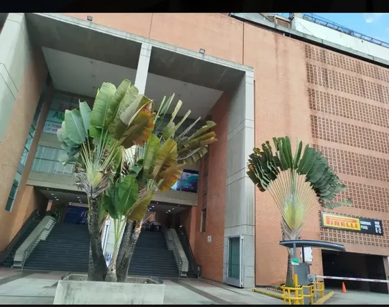 En Alquiler Local Comercial En Plaza Las Americas