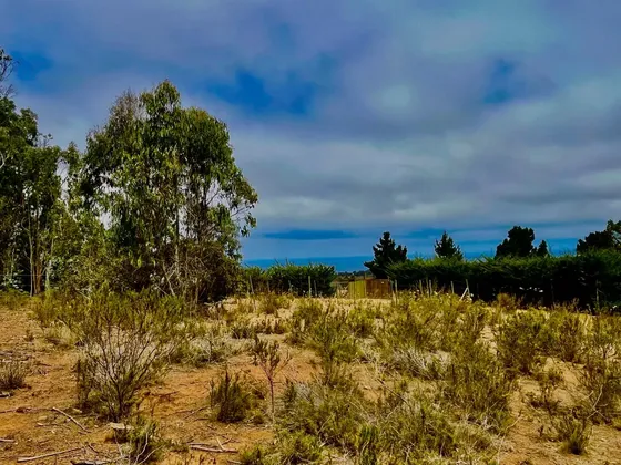 Parcela De 6300m2 Con Vista Al Mar En Algarrobo