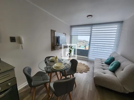 Hermoso 1d+1b Amoblado Con Gasto Común Incluido