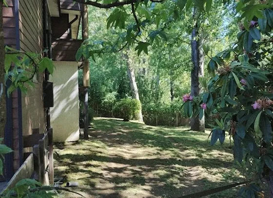 Casa En Venta De 7 Dorm. En Valdivia