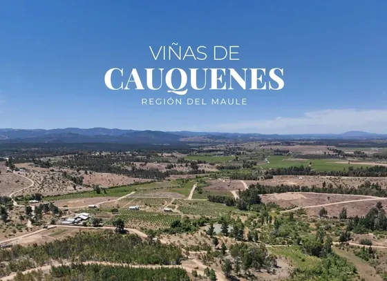 Parcelas En Cauquenes Con Crédito Directo Y Descuentos