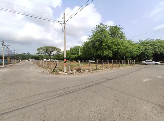 Lote En Arriendo En La Ceiba. Cod A27587