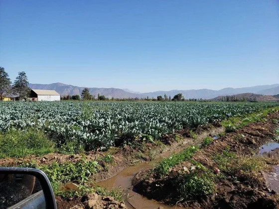 Curacavi, Venta Terreno Agricola El Ajial