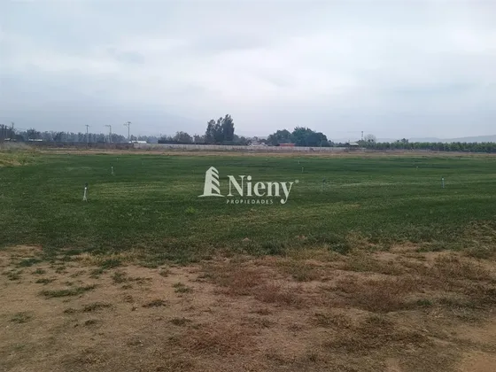 Parcela En Arriendo En Limache