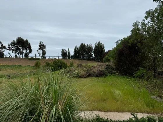 Sitio De 980 M2