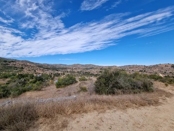 Lote 5000 M2 En Ranquilhue, Pumanque Limite Con Marchigue