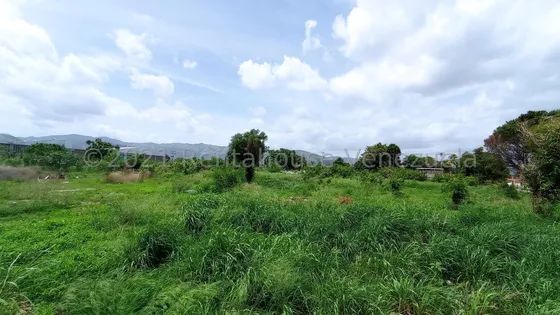 Estupendo Terreno 10.000 Mtrs2, Av Corinsa Cagua.hasiso.