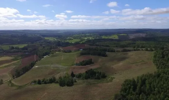 Agrícola En Venta En Purranque