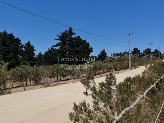 Vendemos Parcela 10.000 Metros Algarrobo!