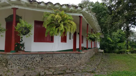 Finca En Venta En Seleccionar Barrio. Cod V12688