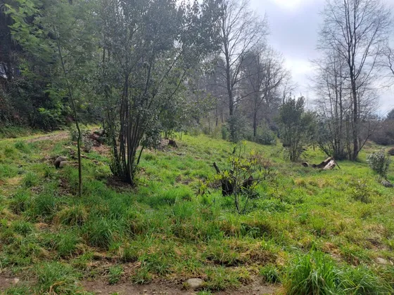 Terreno En Altura, Villarrica, Ideal Constructora 