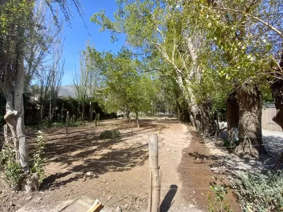Gran Terreno A Orilla De Camino Principal, Cajón Del Maipo