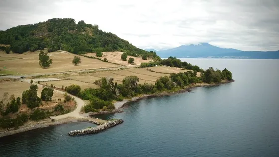 Se Vende Parcela En Puerto Octay