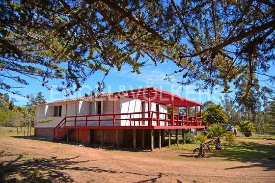 Arriendo Casa. 1,5ha En Ruta F90