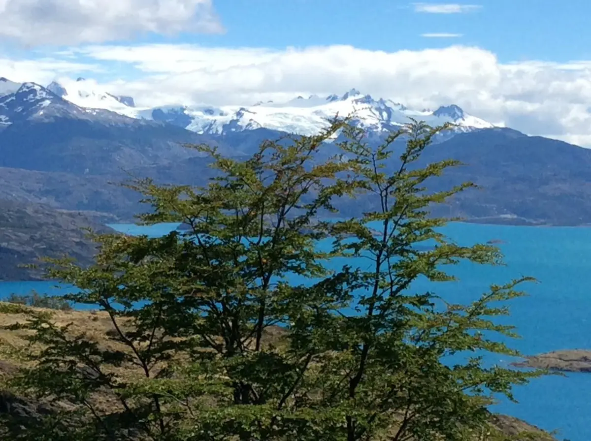 Campo 37 ha en Puerto Guadal, Orilla de Río con Vista al Lago
