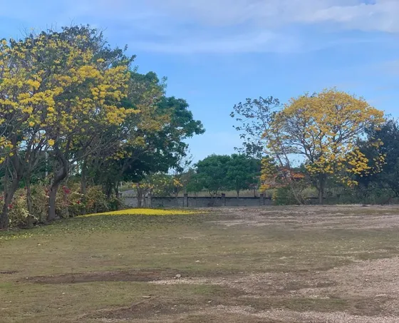 Se Vende Terreno De 32000m2 En Santa Clara Sobre Via Panamericana