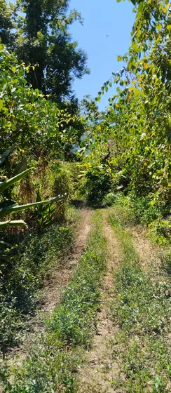 Finca - Rancho 
