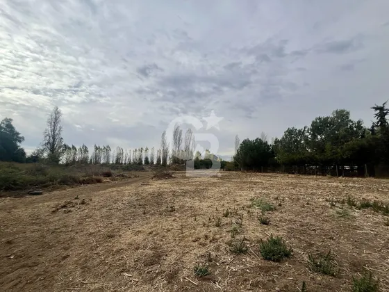 Parcela 5.000 M2 En Lampa-los Sauces