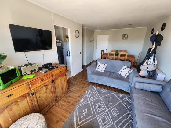Departamento En Venta En Cerro Alegre, 2 Dormitorios Y Terra