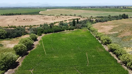 Oportunidad: Terrenos En San Rafael