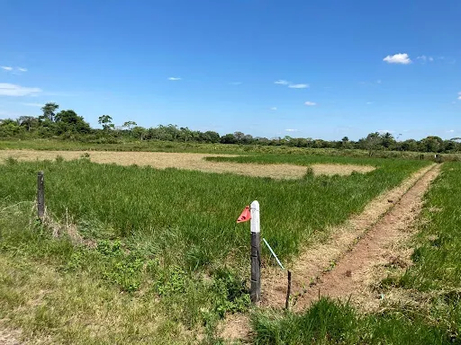 Lotes En Venta Vereda La Llanerita 462-851