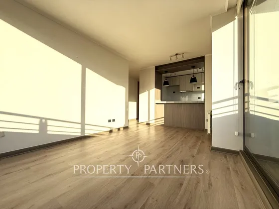 Concepción Centro Departamento Con Vista