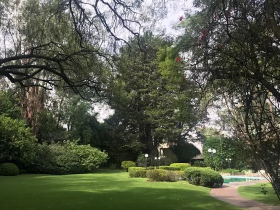 Terreno Para Desarrollo Potencial | Lomas De Chapultepec