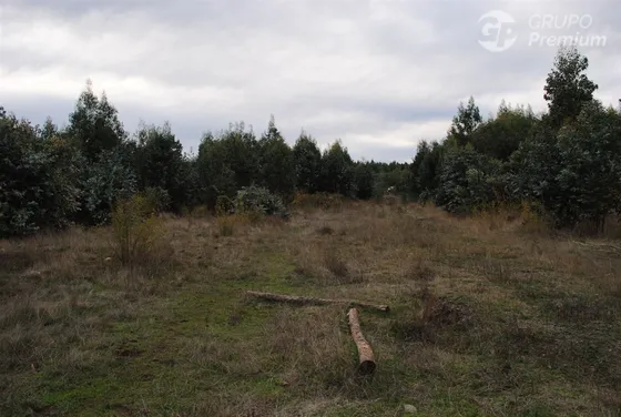 Terreno De 9 Lotes En Venta En Santa Bárbara