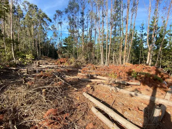 Parcela En Venta Pichilemu