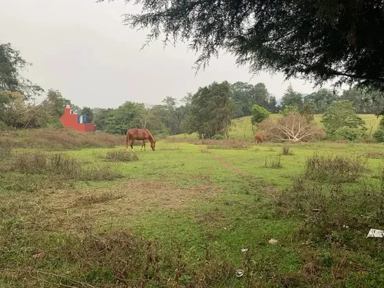 Terreno En Venta En Xico, Xico, Veracruz De Ignacio De La Llave C.p. 91240
