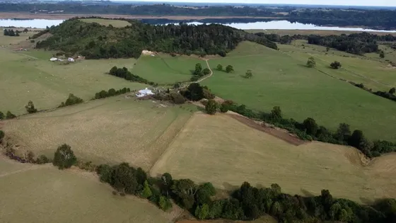 Campo En Los Muermos, El Escondido Región De Los Lagos