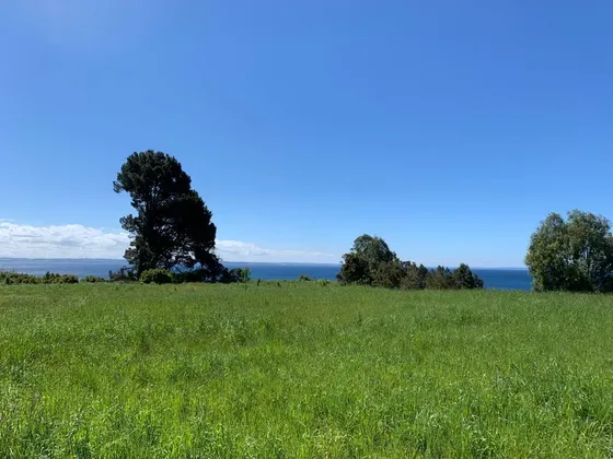 Sitio En Venta En Puerto Varas