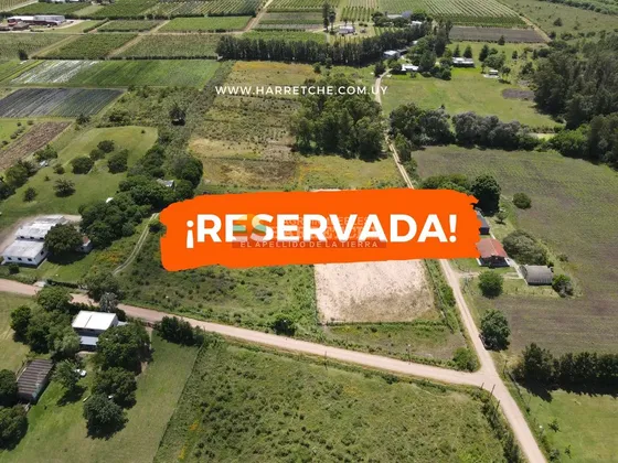 Chacra De 3 Has En Melilla, Excelente Ubicación, Monte, Casa A Reciclar