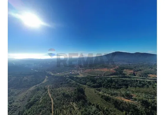 106 Hectáreas Florida Ubicación Estratégica