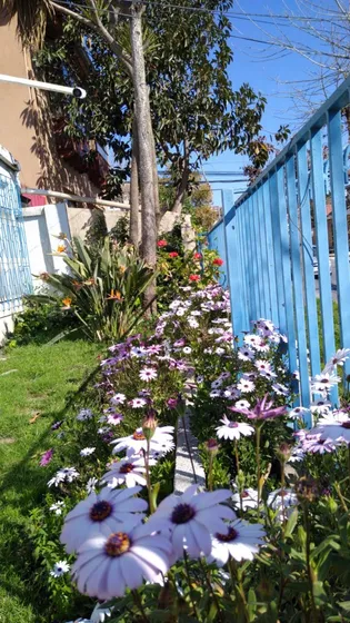 Crisol Amplia Casa En Mena, Central Más Depto
