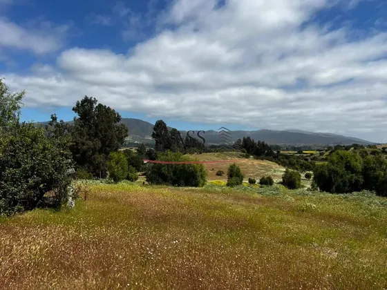 Vass Vende Terrenos 5.000m2 En Las Melosillas Valle Alegre