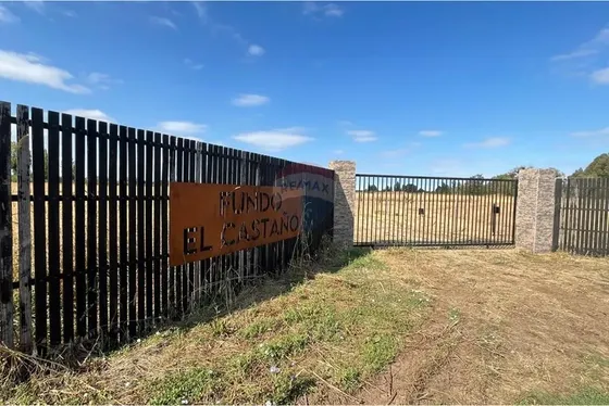 Vende Parcela 5.000 M2 , Fundo El Castaño, Lt 1b
