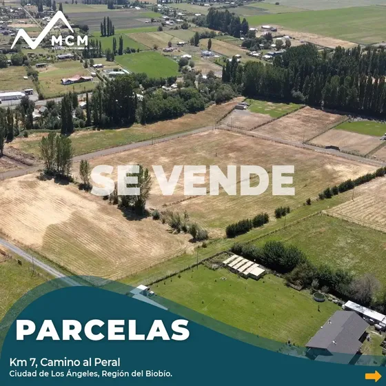 Se Venden Parcelas De 5.000 M² Camino Al Peral