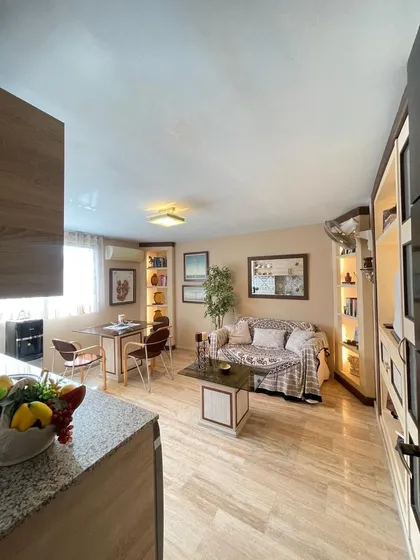 Alquiler Apartamento 1 Habitación Amueblado