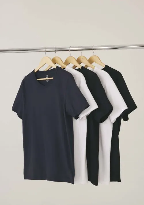 Kit Com 5 Camisetas Masculinas Básicas Hering