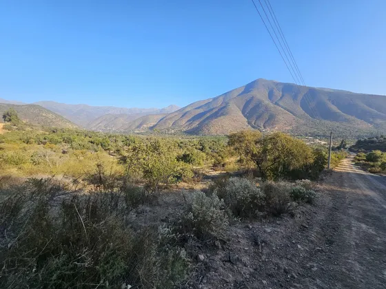 Vendo Hermosos Sitios En Quebrada Alvarado Olmué.