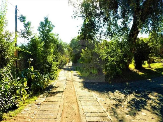 Av. Larrain / Alvaro Casanova