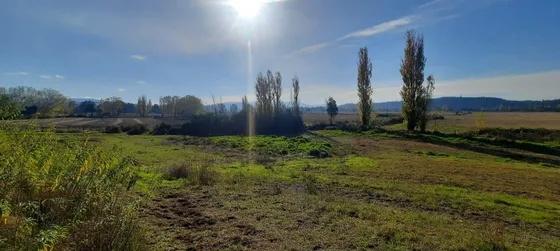 Vende 24.3 Hectáreas Agrícolas En Nacimiento