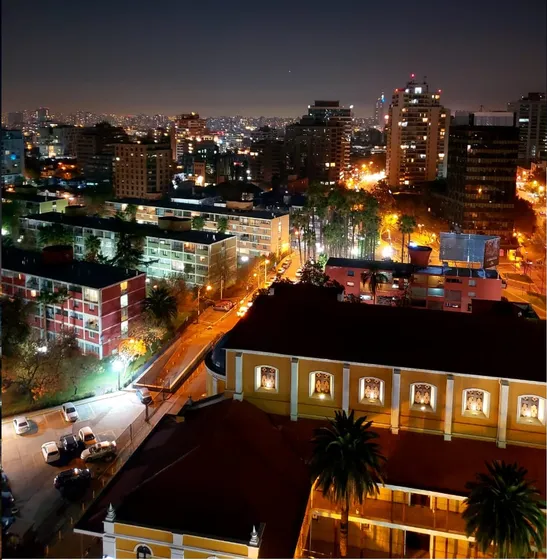 Arriendo Amoblado Depto 2d1b En Providencia