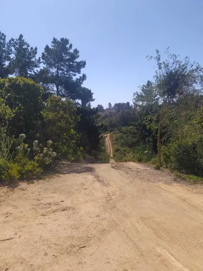 Los Pinos Reñaca, Camino Internacional  (64721)
