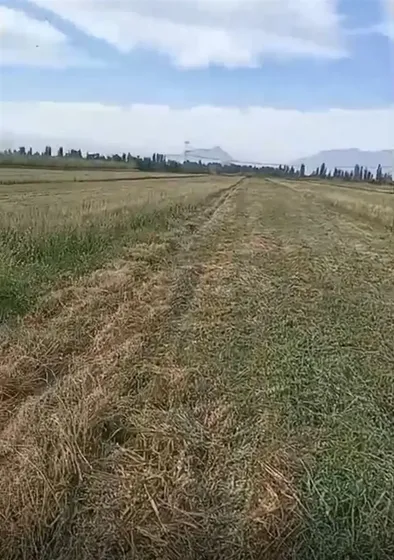 Inversión Premium Buin De 25.000 M2