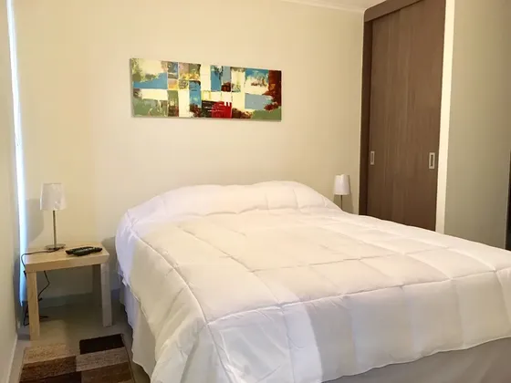 Arriendo Departamento Por Dias Santiago