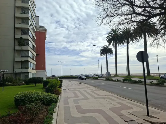 Se Arrienda Departamento En Av Marina Al Lado Del Casino