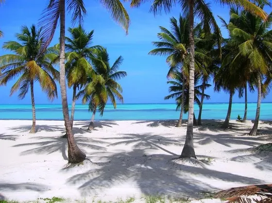 Terreno En Venta Con Frente De Playa En Punta Cana 